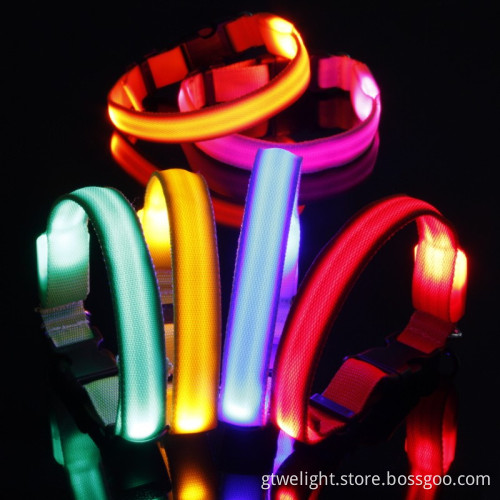 Light-up LED Dog Collars and Leashes